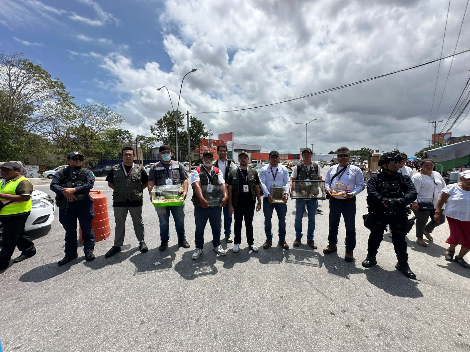 uploads/6/32/01 (2963).Jpeg